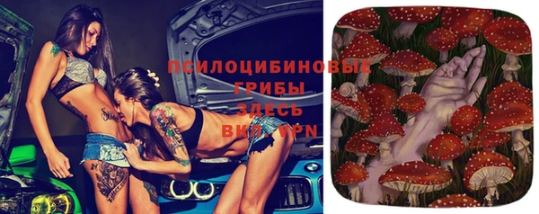 прущая мука Баксан