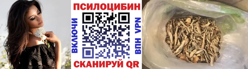 Псилоцибиновые грибы Magic Shrooms  нарко площадка Telegram  Звенигород 